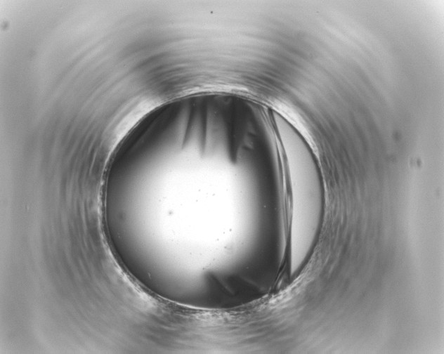 X0000088890906200706221837