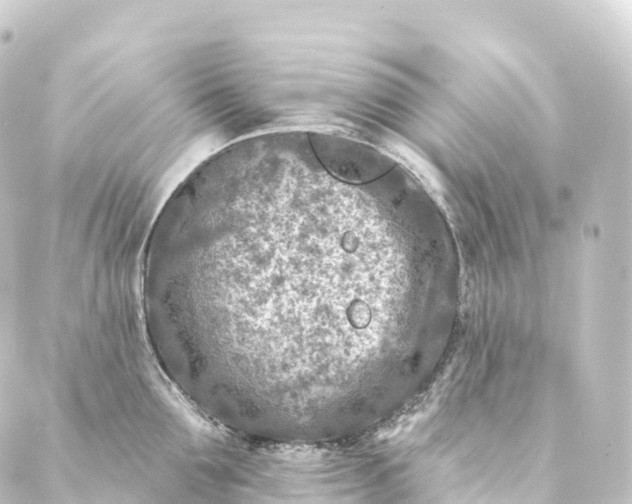 X0000088890907200706221837