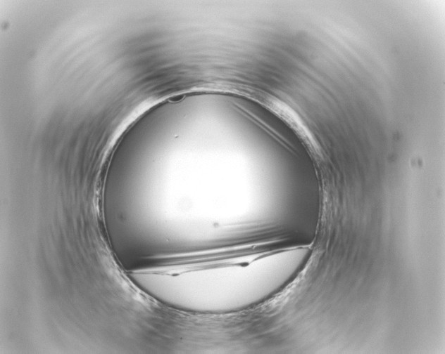 X0000088890908200706221837