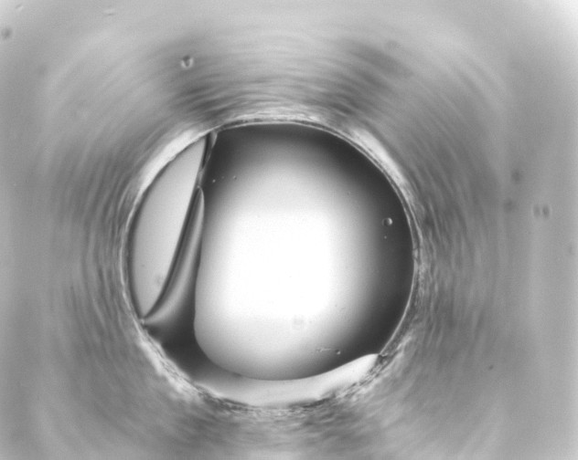 X0000088890909200706221837