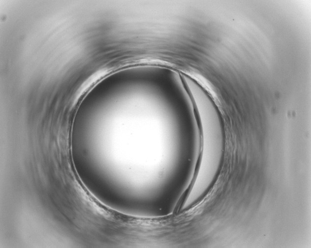 X0000088890910200706221837