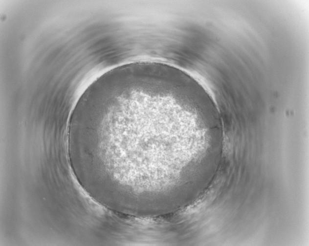 X0000088890911200706221837