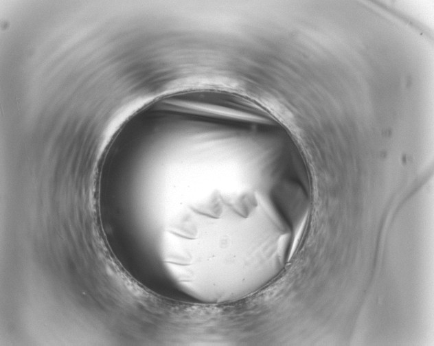 X0000088890912200706221837