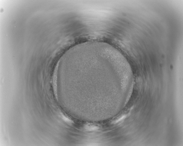 X0000088890913200706221836