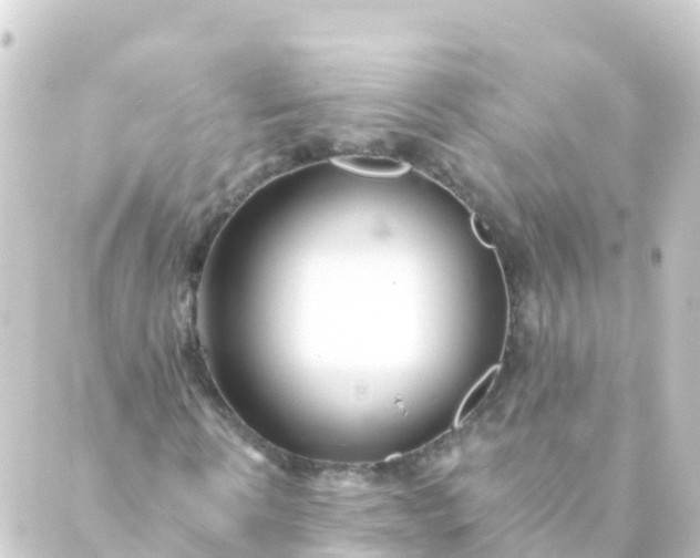 X0000088890914200706221836