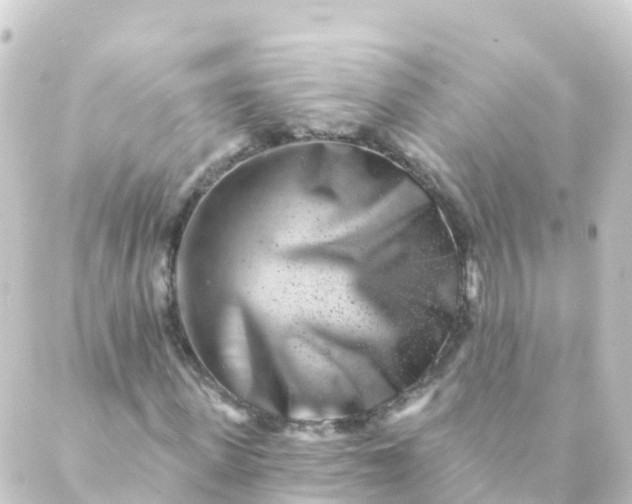 X0000088890915200706221836