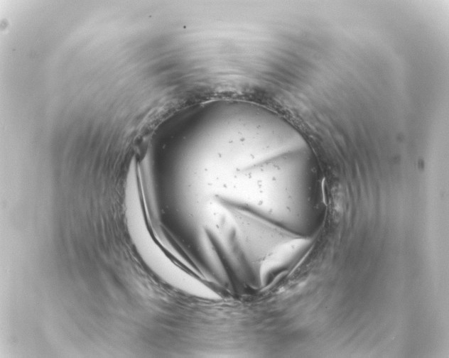 X0000088890916200706221836