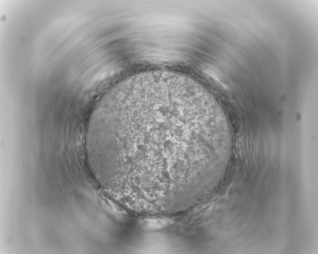 X0000088890917200706221836