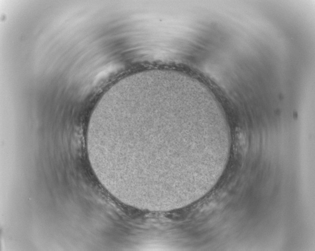 X0000088890918200706221836