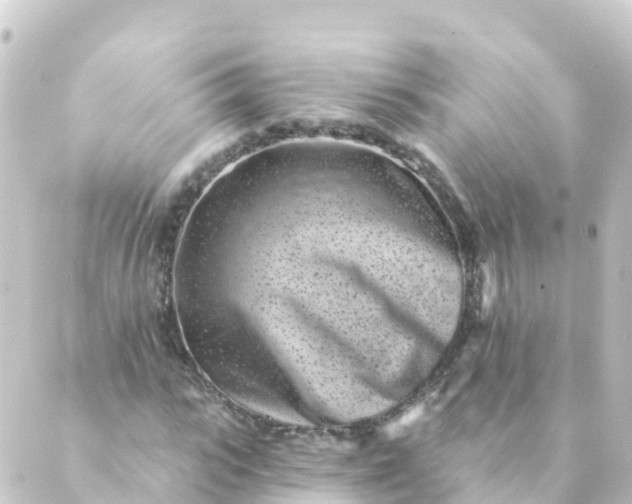 X0000088890919200706221836