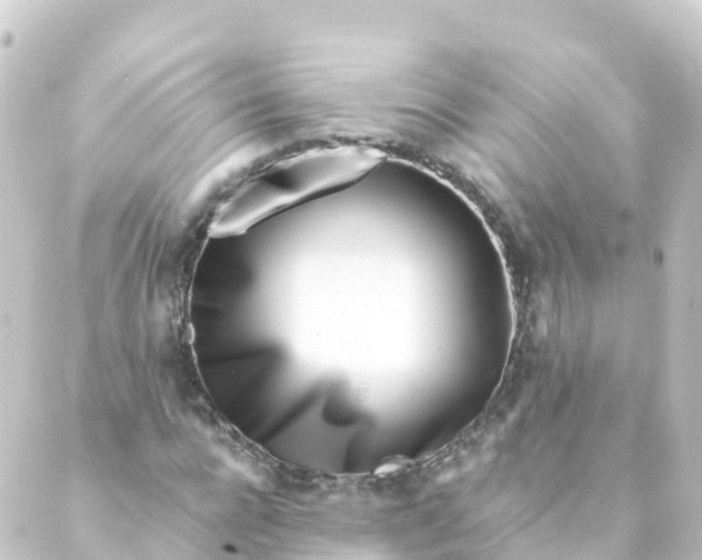 X0000088890920200706221836