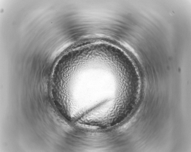 X0000088890921200706221836