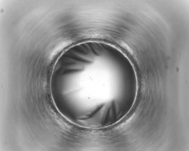 X0000088890922200706221836