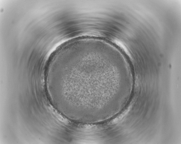 X0000088890923200706221836