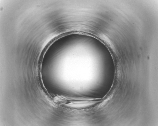 X0000088890924200706221836