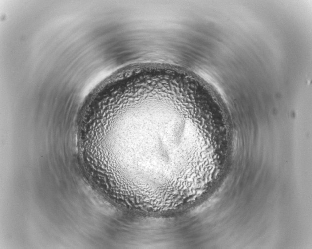 X0000088890925200706221836