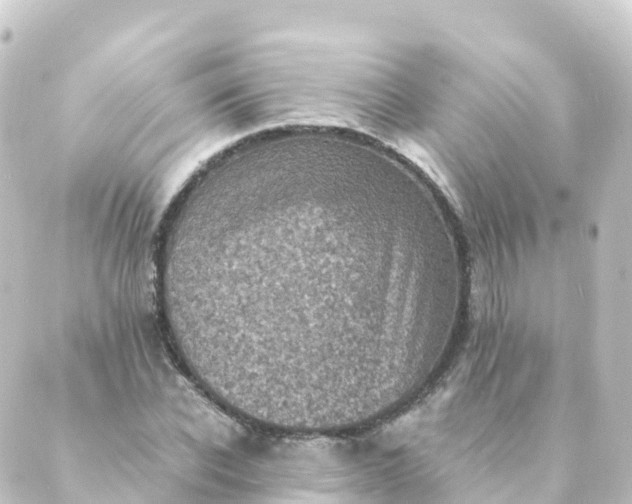 X0000088890926200706221836