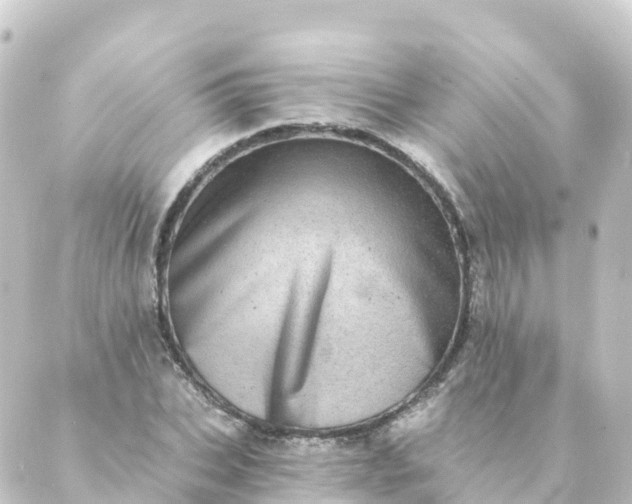 X0000088890927200706221836