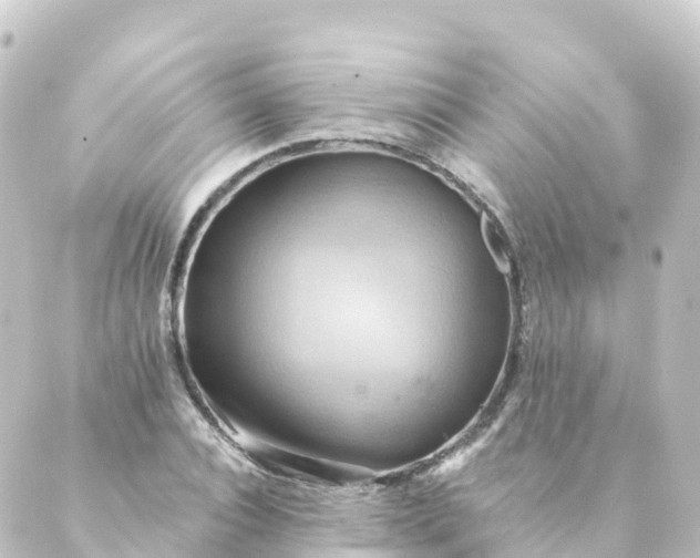 X0000088890928200706221836