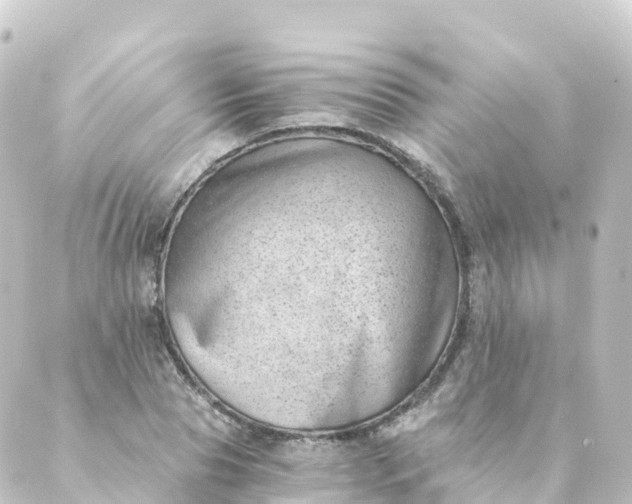 X0000088890929200706221836