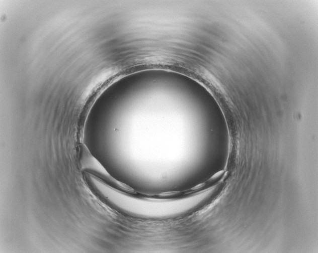 X0000088890930200706221836