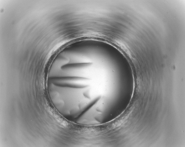 X0000088890931200706221836