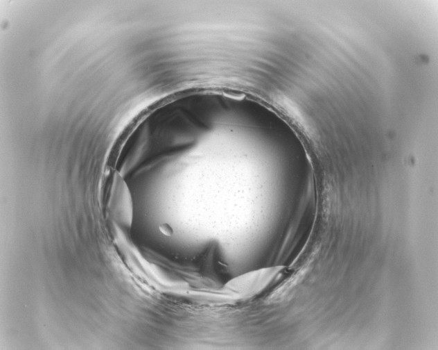 X0000088890932200706221836