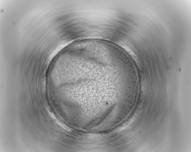 X0000088890933200706221836