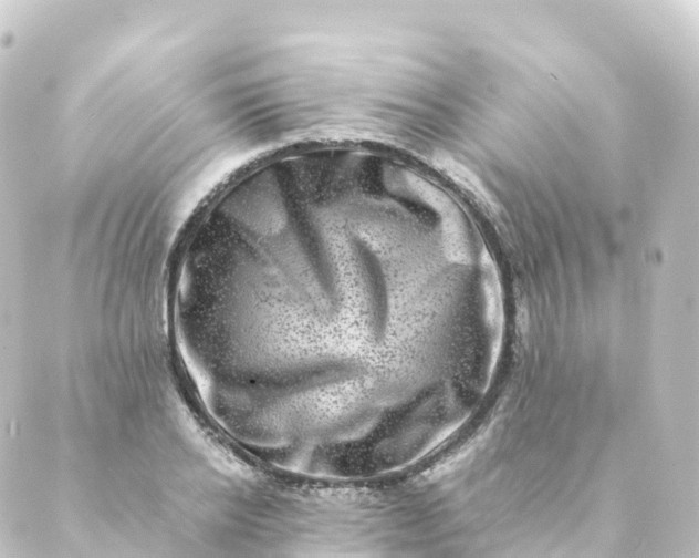 X0000088890934200706221836