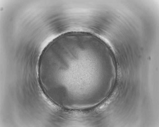 X0000088890935200706221836