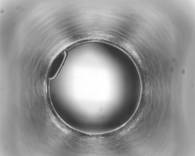 X0000088890936200706221836