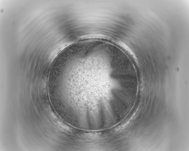 X0000088890937200706221836