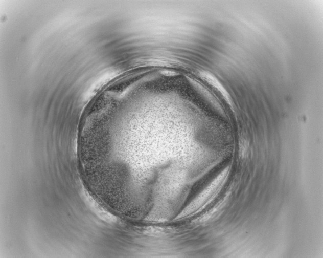 X0000088890938200706221836