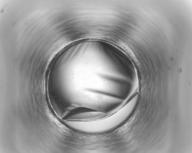 X0000088890939200706221836