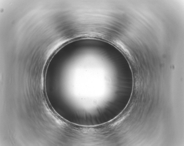 X0000088890940200706221836