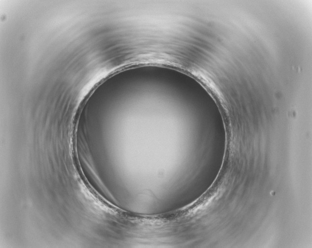 X0000088890941200706221836