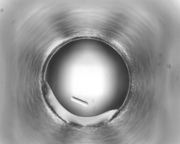 X0000088890942200706221836