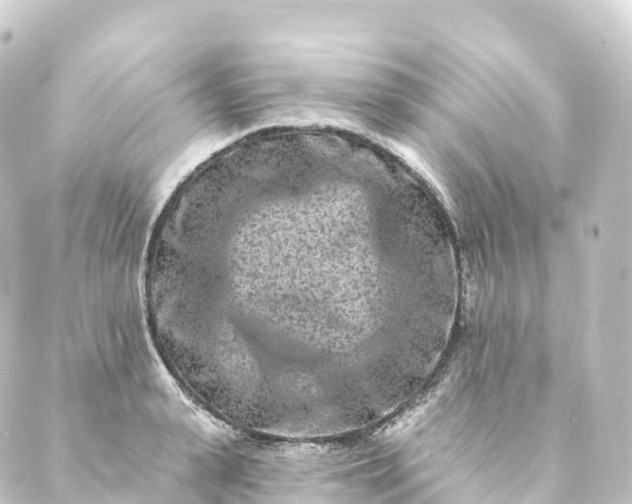 X0000088890943200706221836