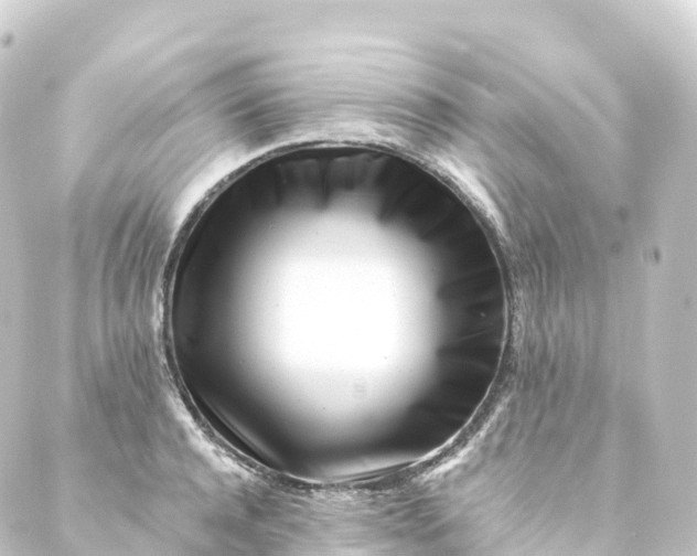 X0000088890944200706221836