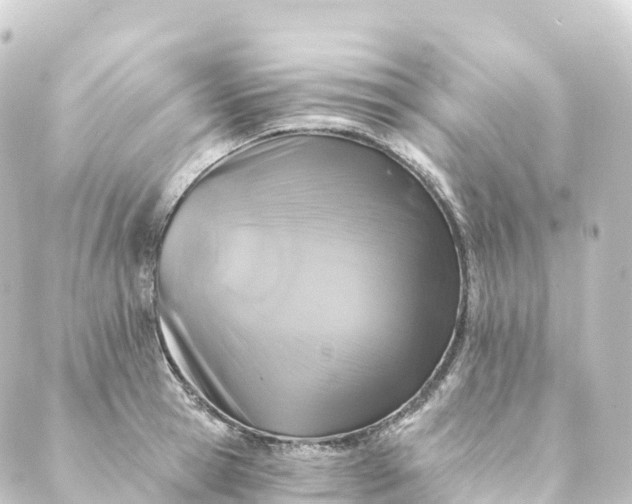 X0000088890945200706221836