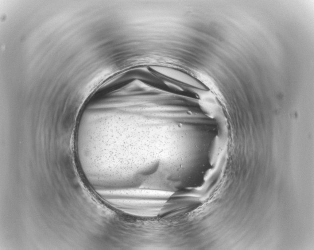 X0000088890946200706221836