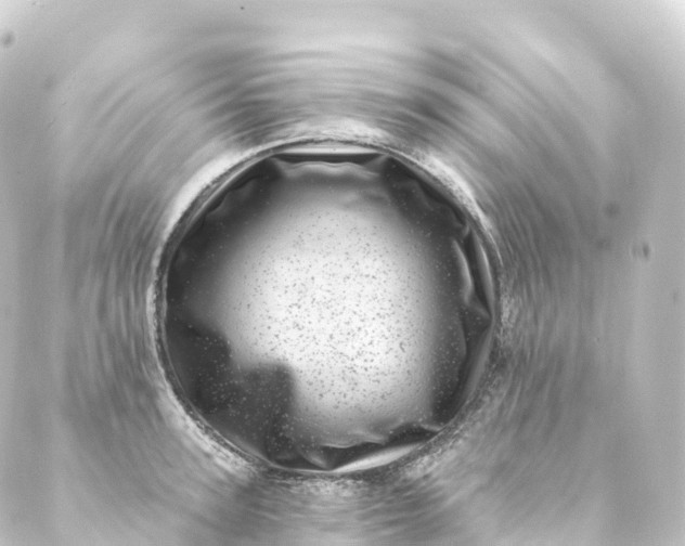 X0000088890947200706221836