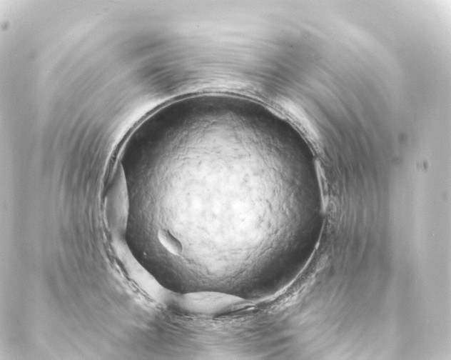 X0000088890948200706221836