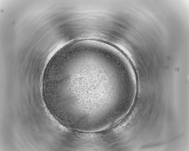 X0000088890949200706221836