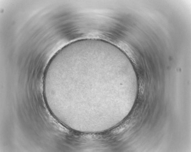 X0000088890950200706221836