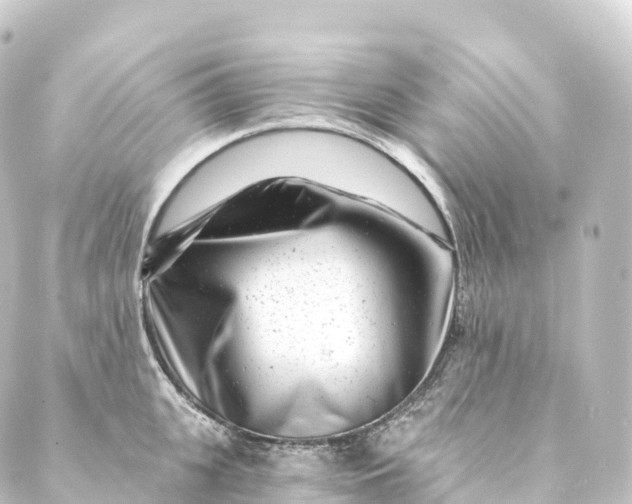 X0000088890951200706221836