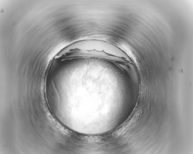 X0000088890952200706221836