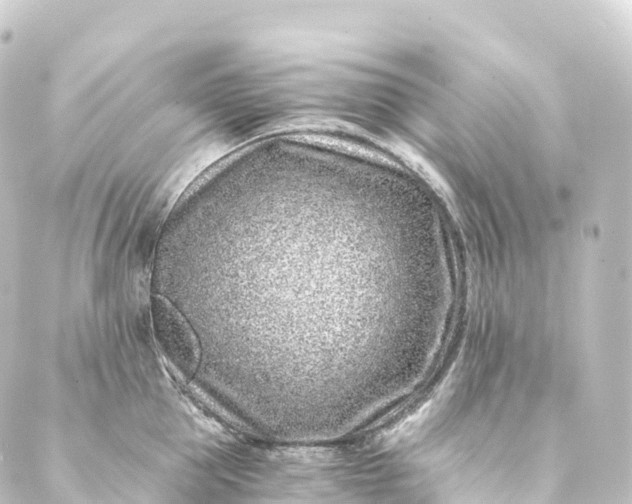 X0000088890953200706221836