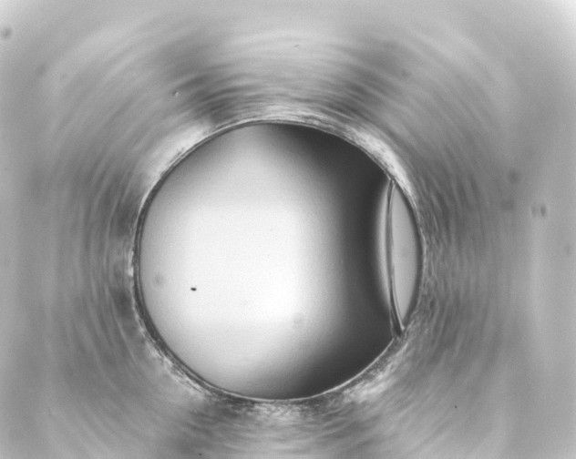 X0000088890954200706221836