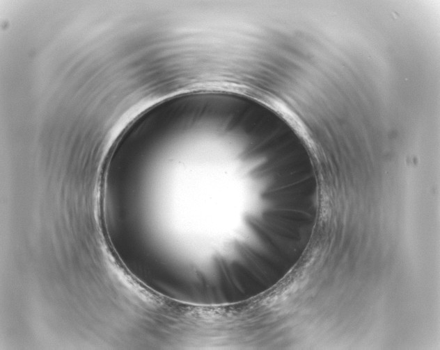 X0000088890955200706221836